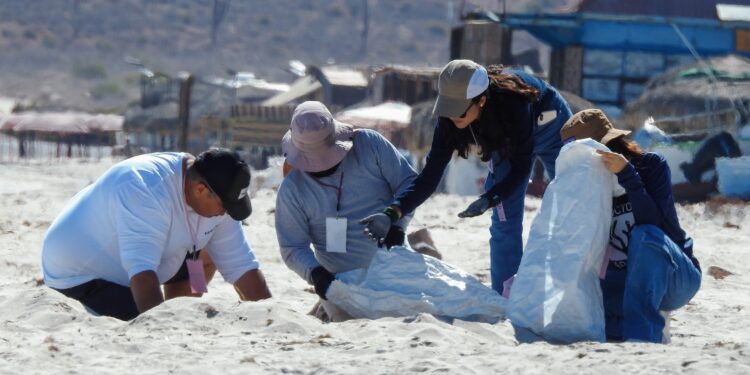 Recolectan más de 27 kilos de residuos en playa El Tecolote