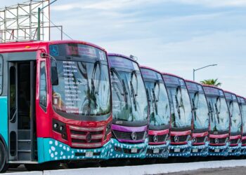 Con apoyo del Gobierno Federal, Milena Quiroga consolida mejoras en el servicio de transporte público