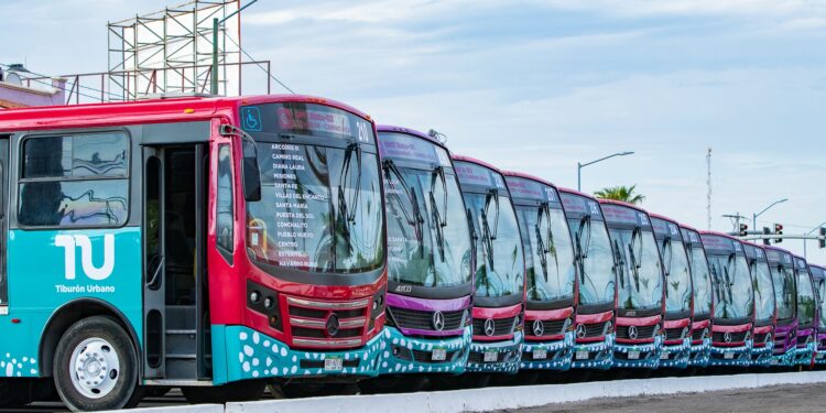 Con apoyo del Gobierno Federal, Milena Quiroga consolida mejoras en el servicio de transporte público