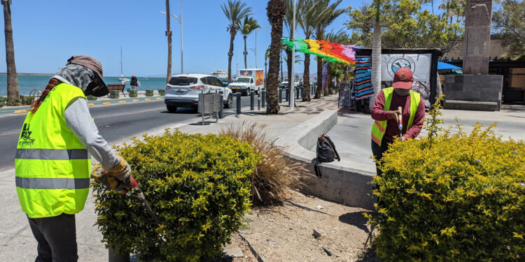 Servicios Públicos realiza mantenimiento en el malecón y colonias de La Paz