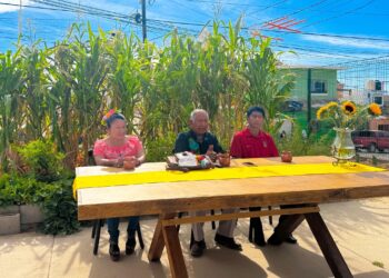 Presenta IMAIA avances y productos de huerto comunitario en Cabo San Lucas
