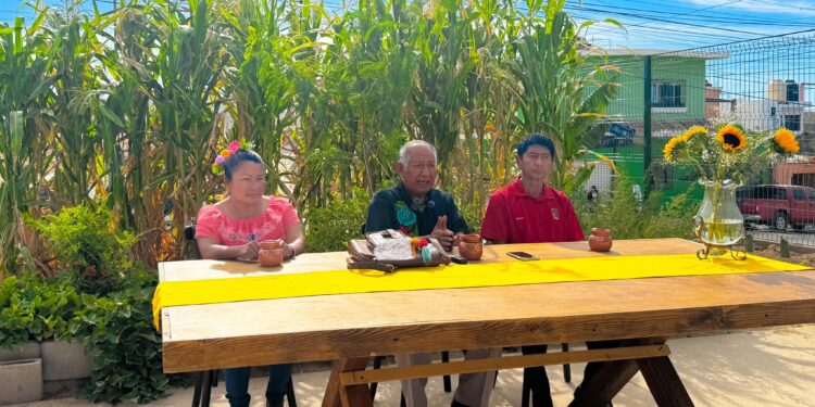 Presenta IMAIA avances y productos de huerto comunitario en Cabo San Lucas