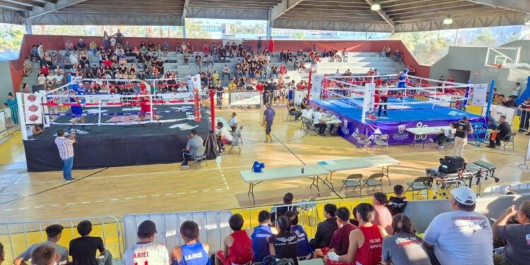 Arranca en Los Cabos VII Edición del Campeonato Estatal de Boxeo “Un Golpe a la Delincuencia”