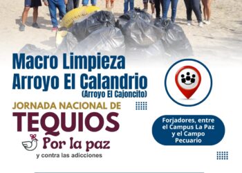 Invitan a la macro limpieza del arroyo El Calandrio