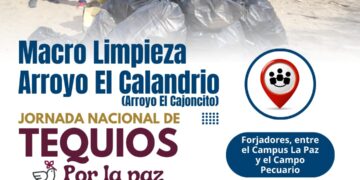 Invitan a la macro limpieza del arroyo El Calandrio