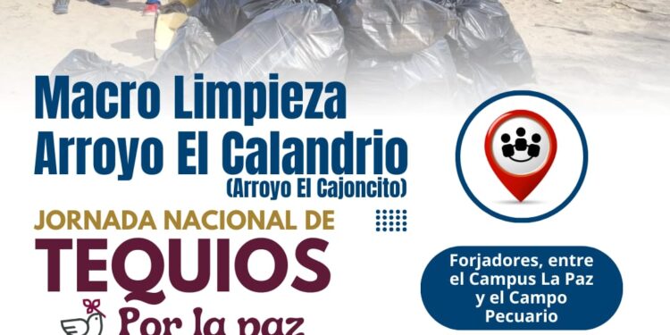 Invitan a la macro limpieza del arroyo El Calandrio