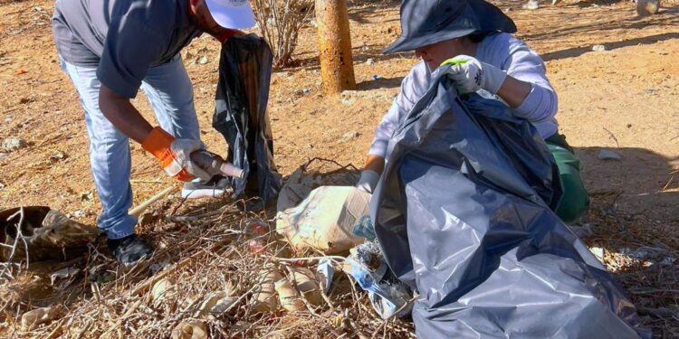 Recolectan 90 toneladas de residuos durante jornada “Limpia Los Cabos”