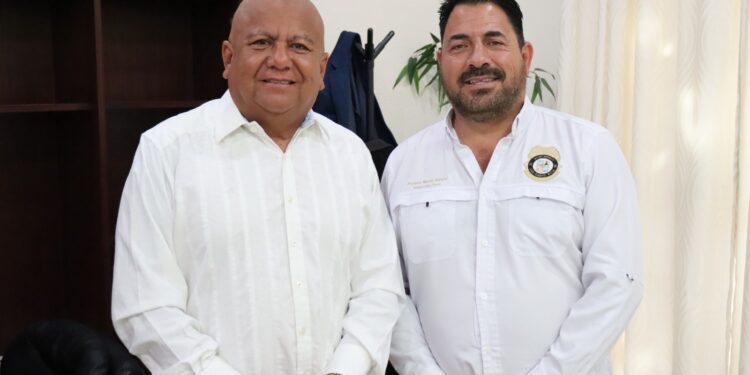 Avanza regulación del comercio informal en Cabo San Lucas