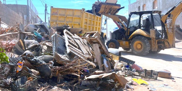 Retiran más de 60 toneladas de ramas y cacharros en Cabo San Lucas