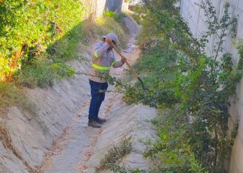 Arranca jornada de limpieza de arroyos y cauces de agua en Los Cabos