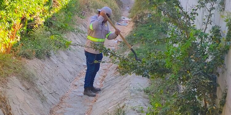 Arranca jornada de limpieza de arroyos y cauces de agua en Los Cabos