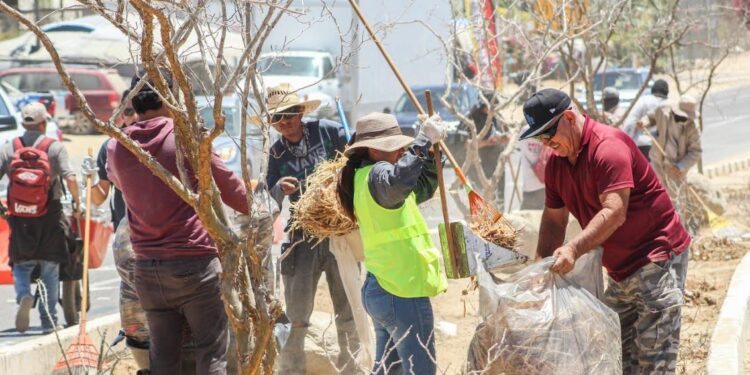 Servicios Públicos realiza trabajos de mantenimiento en El Pescadero