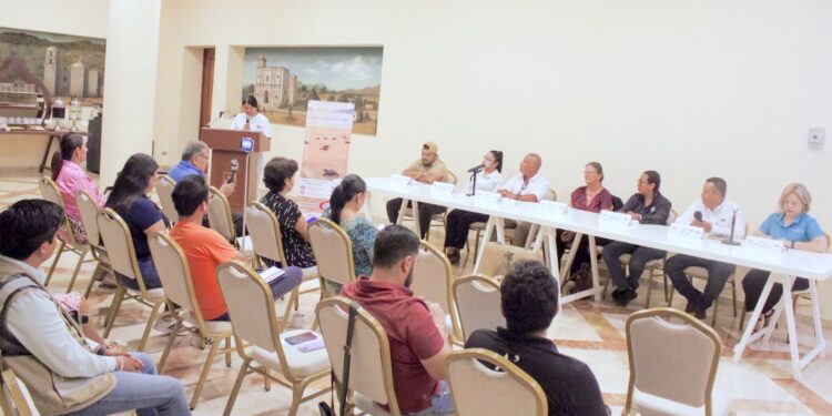 Anuncian actividades alusivas a la conservación de tortugas marinas en Los Cabos