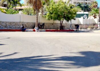 Para desahogo vehicular Desarrollo Urbano pide a conductores transitar por Calle Paseo San José