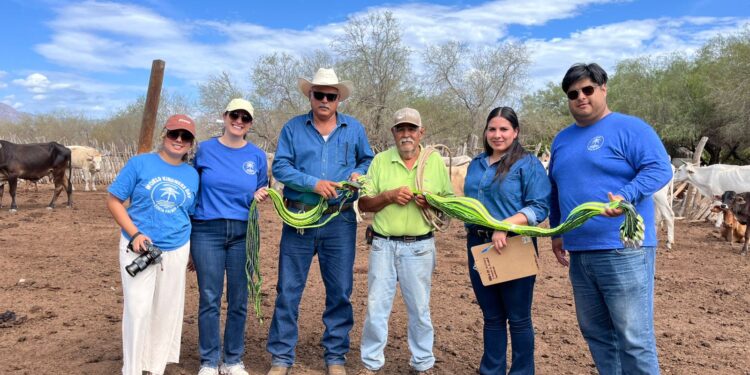Entregan más de 200 collares fluorescentes a ganaderos de Santiago y Miraflores 