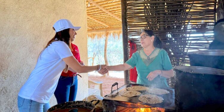 Realiza DIF Los Cabos jornada social en la subdelegación de San Felipe