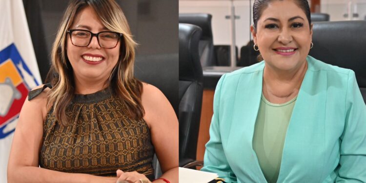 Leyes, decretos y proposiciones, caducarán de no ser dictaminadas a más tardar el 30 de agosto del ejercicio legislativo