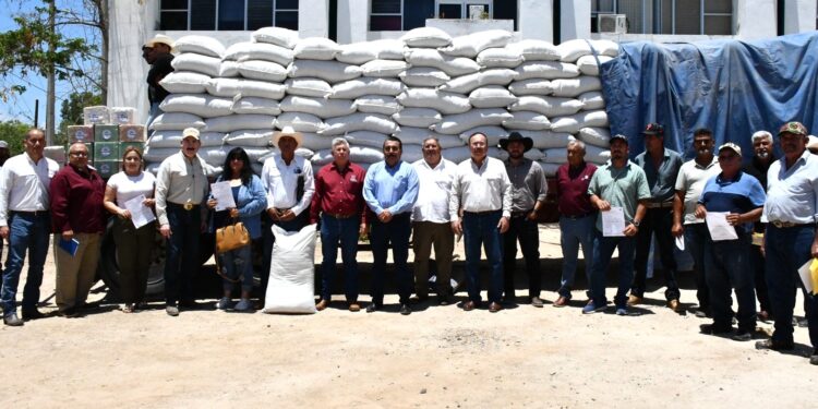 Benefician a más de 700 ganaderos con el Programa de Apoyo a la Sequía