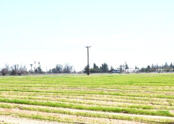 Promueve el gobierno de BCS el cuidado del agua en la agricultura
