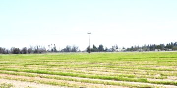 Promueve el gobierno de BCS el cuidado del agua en la agricultura