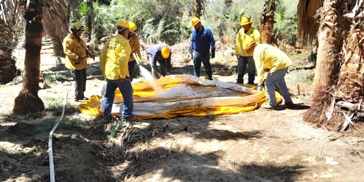 Reciben brigadistas de Santiago y Boca de la Sierra un taller para la atención de incendios forestales