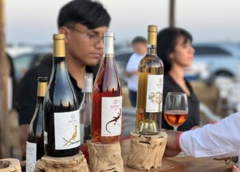 Realizan con éxito la tercera edición de la Vendimia 2025 en Comondú