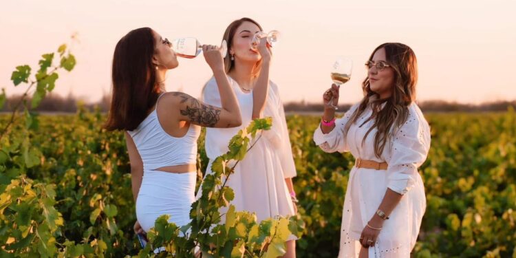 Este sábado 21 de junio realizarán “La Vendimia 2025”, en Comondú