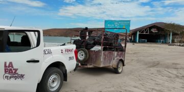 Recolectan más de 5 toneladas de residuos en playas de La Paz
