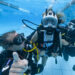Realizan con éxito la segunda jornada de buceo inclusivo