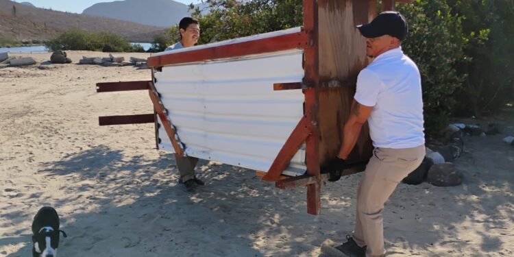 Zofemat La Paz retira baño clandestino de playa Pichilingue