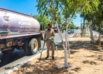 Destinan 250 mil litros de agua tratada para el riego y mantenimiento de espacios públicos