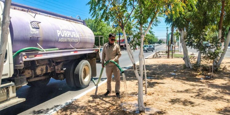 Destinan 250 mil litros de agua tratada para el riego y mantenimiento de espacios públicos