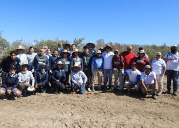 Participa ZOFEMAT en jornada de limpieza de manglares “El Cajoncito”