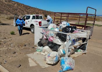 Recolectan más de 5 toneladas de residuos en playas y manglares de La Paz