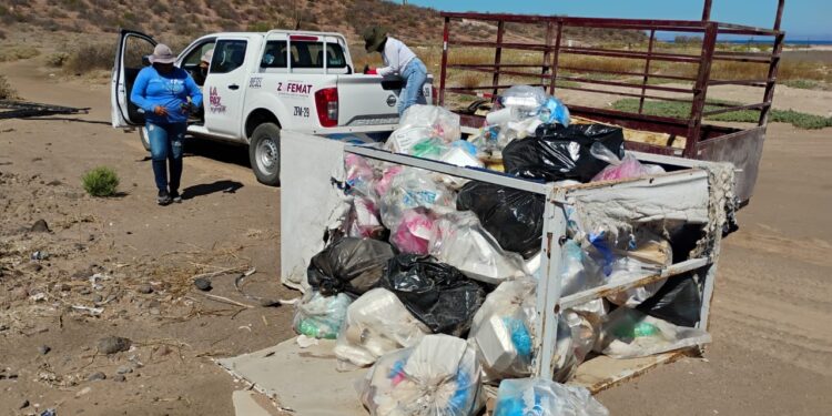 Recolectan más de 5 toneladas de residuos en playas y manglares de La Paz