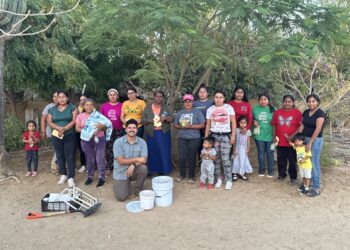 Gobierno Municipal de La Paz promueve la creación de huertos de traspatio
