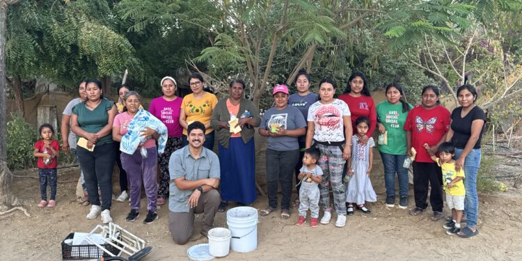 Gobierno Municipal de La Paz promueve la creación de huertos de traspatio