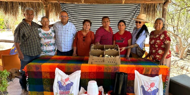 Ayuntamiento de La Paz fortalece capacitación de emprendedores rurales