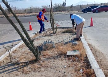 Servicios Públicos realiza limpieza y desazolve en colonias de Cabo San Lucas 