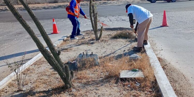 Servicios Públicos realiza limpieza y desazolve en colonias de Cabo San Lucas 