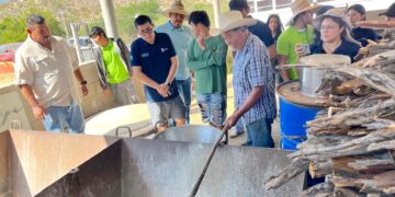 Invitan a la tradicional molienda de caña en subdelegación de La Candelaria 