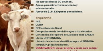 Invitan a ganaderos de Los Cabos a inscribirse en programa de apoyo por sequía  