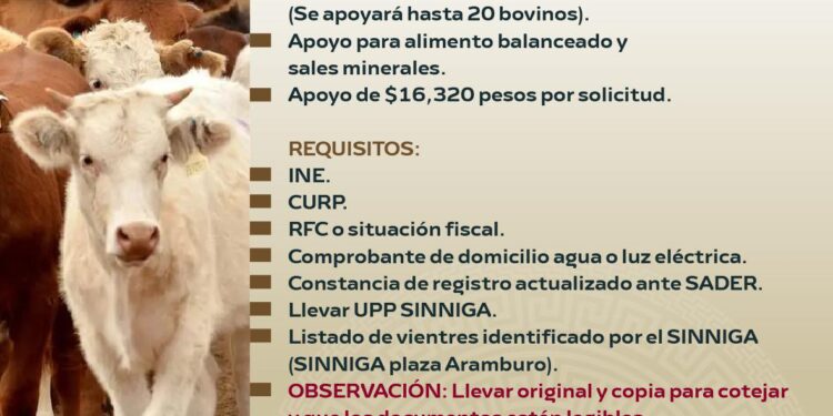 Invitan a ganaderos de Los Cabos a inscribirse en programa de apoyo por sequía  