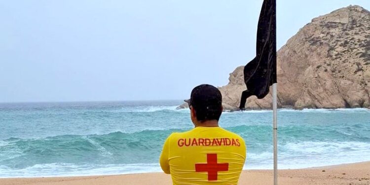 Llama Zofemat Los Cabos a respetar banderas de señalización en las playas ante presencia de mar de fondo