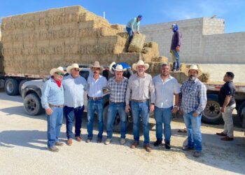 Continúa apoyo al sector ganadero de Los Cabos a través del subsidio al flete de pastura