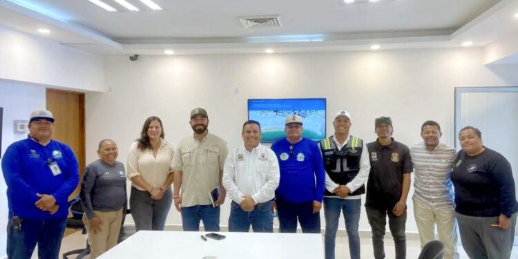 Fortalecen capacitaciones sobre protección de tortugas marinas y cuidado ambiental en Los Cabos