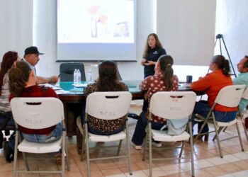 Implementan acciones preventivas para el control sanitario del ganado en Cabo San Lucas