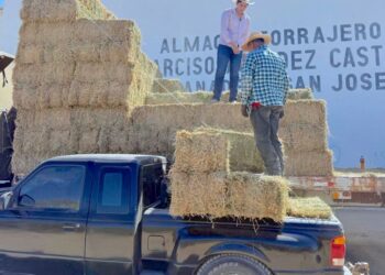 Respalda Ayuntamiento de Los Cabos a productores rurales con subsidio de flete en forraje