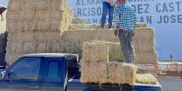 Respalda Ayuntamiento de Los Cabos a productores rurales con subsidio de flete en forraje