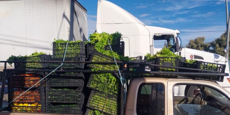 Realizan entrega semanal de frutas y verduras a más de 400 familias en Cabo San Lucas